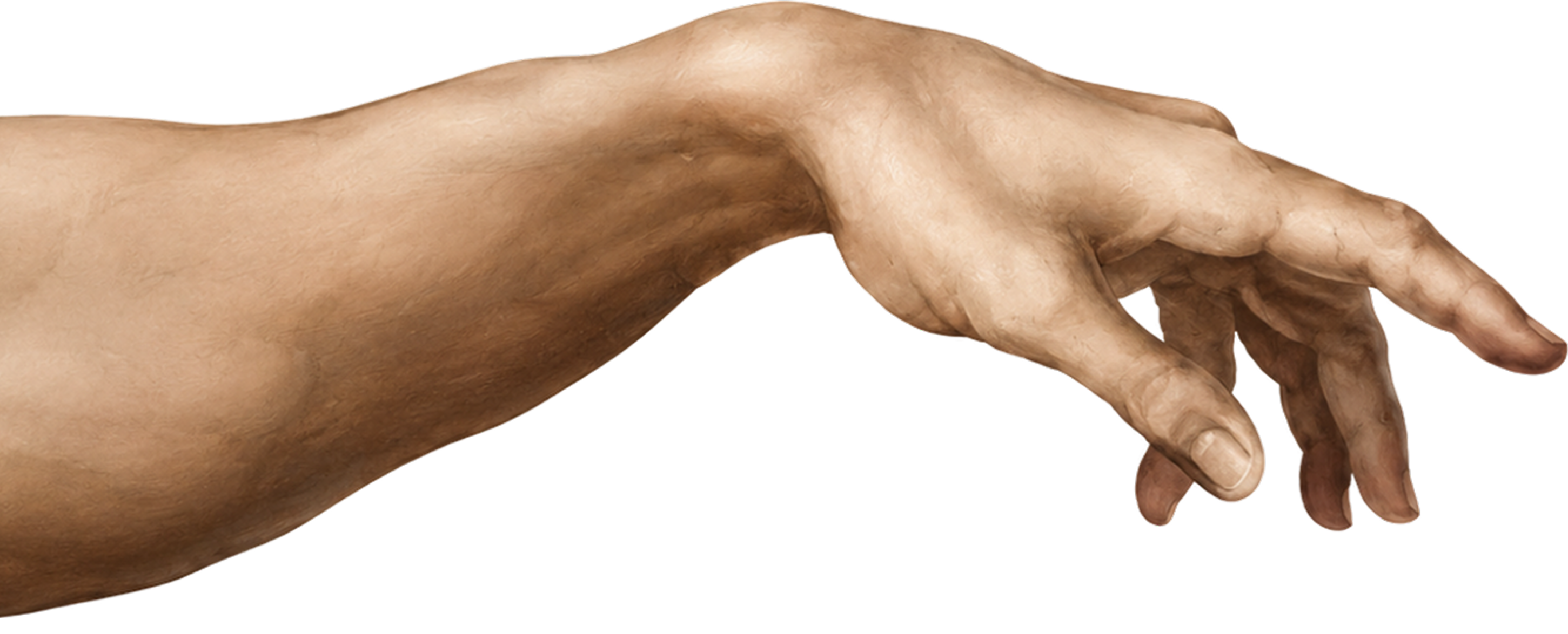 The human hand